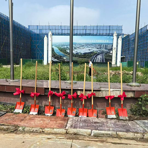 以奋斗致敬七一，共绘发展新蓝图